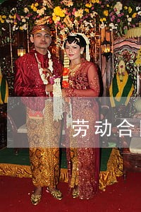 劳动合同法 格式